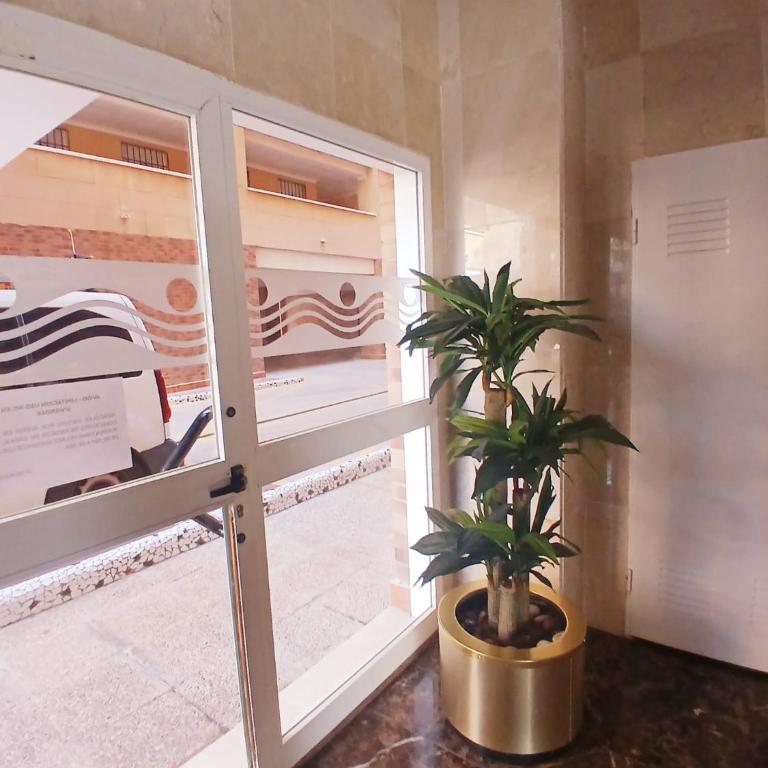 ACAPULCO I DREAMS, 1ª LINEA Playa Amplaries - Apartamento de 2 dormitorios - 22