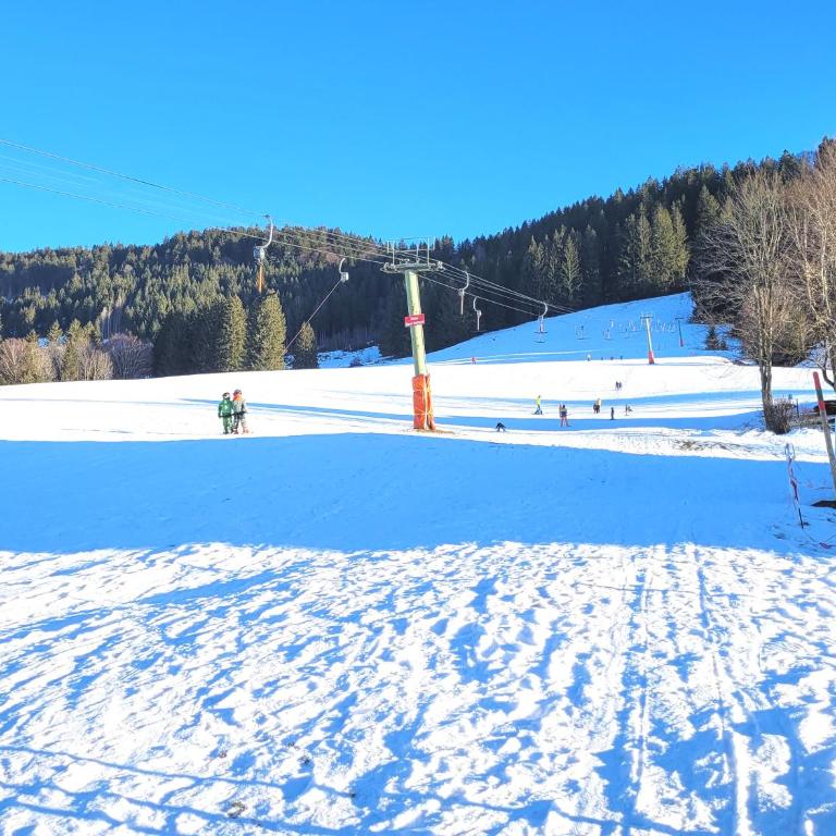Bergflügel Fewo Allgäu, Schwimmbad, Sauna, Skilift - Apartment mit 1 Schlafzimmer - 26
