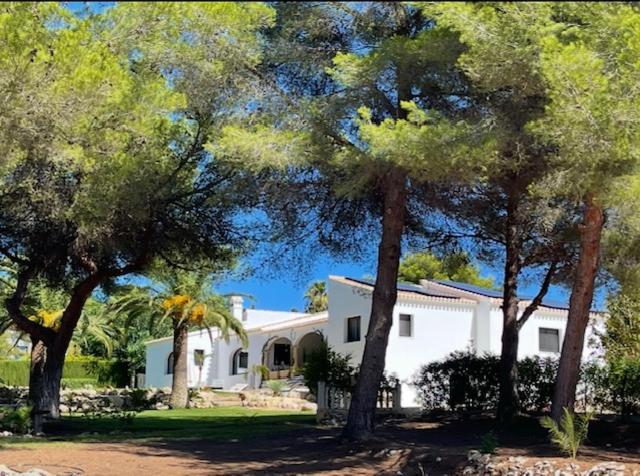Villa Javea 10000 m carrés de jardin à 8 minutes de la plage - Villa de 4 dormitorios - 62