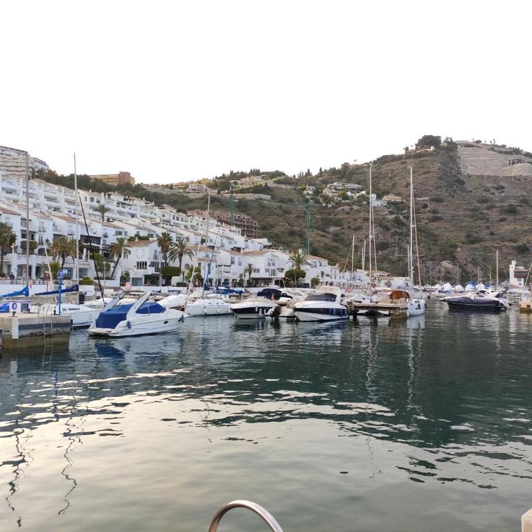Apartamento Oasis La Herradura - Two-Bedroom Apartment - 42