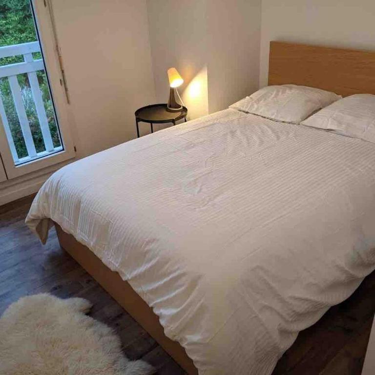 Capbreton 2 bedroom apartment between forest and beach - Three-Bedroom Apartment - 2