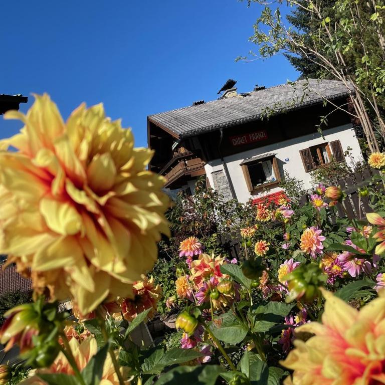 Chalet Franzi - Bergblick, Garten & gleich neben der Piste - Chalet - 44