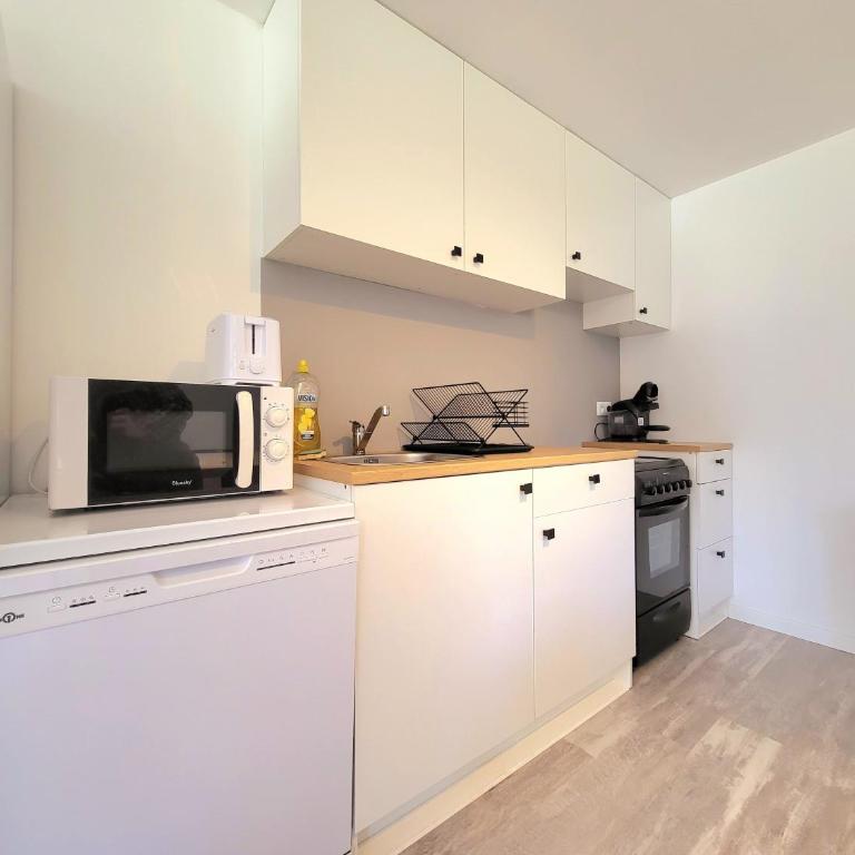 Appartement Aloïs 4 - Appartement 2 Chambres avec Vue sur la Montagne - 14