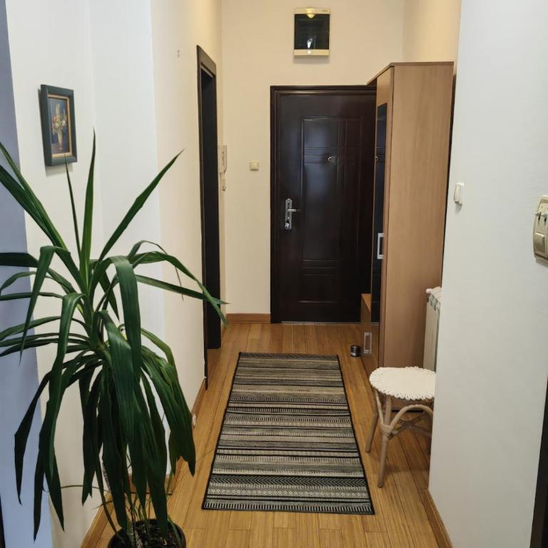 City center Dorcol free parking - Two-Bedroom Apartment - 12