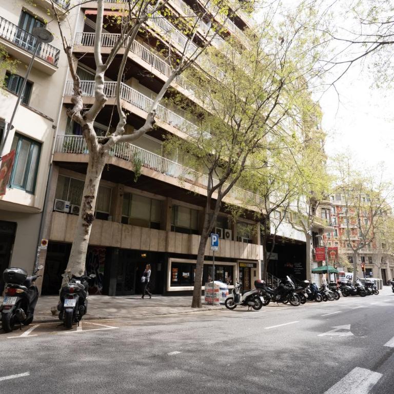 Hermoso apartamento en el centro - Three-Bedroom Apartment - 27