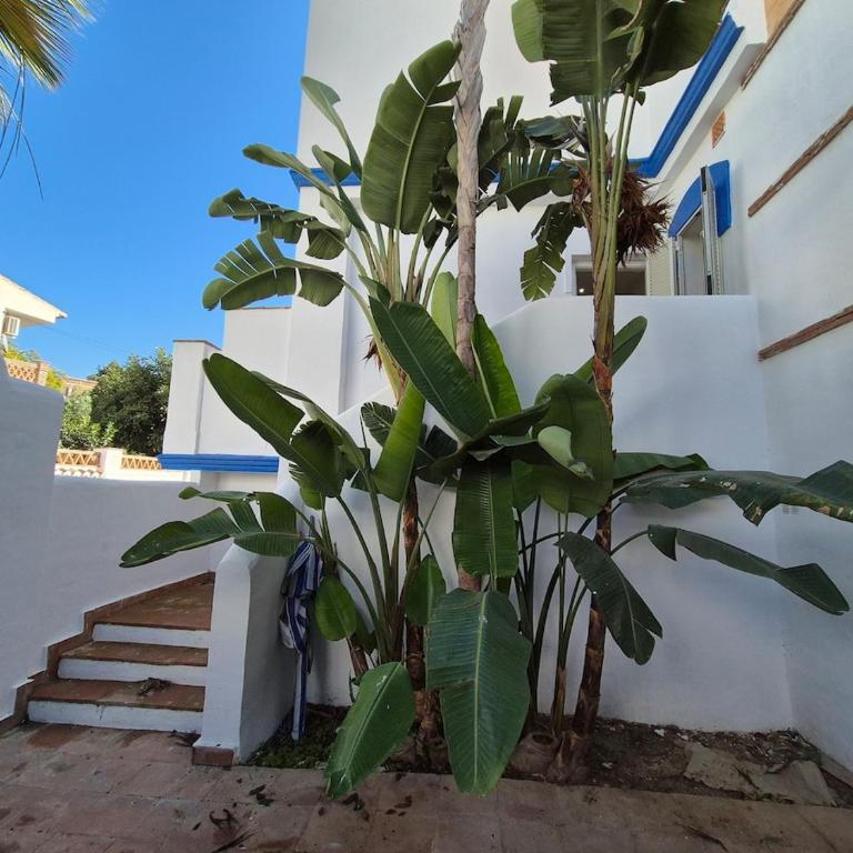 La Casita Azul Close to the beach - Apartamento de 3 dormitorios - 6