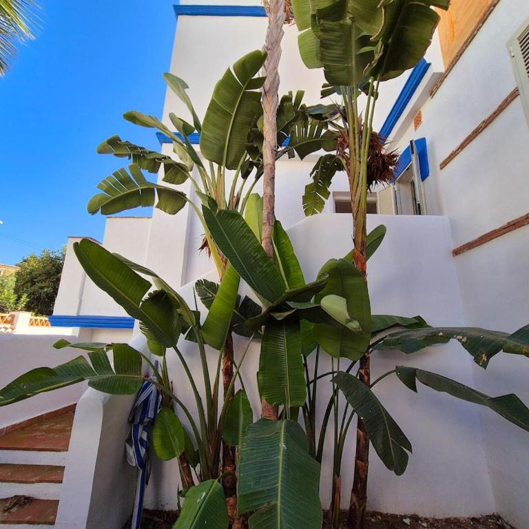 La Casita Azul Close to the beach - Apartamento de 3 dormitorios - 8