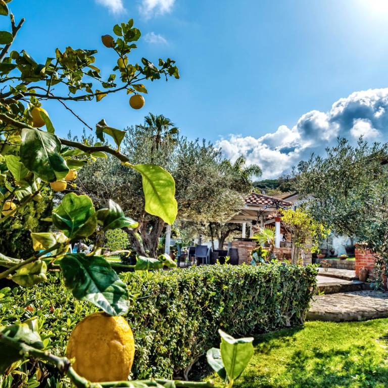 B&B Villa Bency - Suite Deluxe con Vista Mare - 25