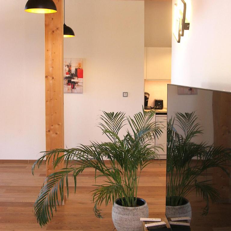 Panorama Suite - Apartment mit 2 Schlafzimmern und Terrasse - 3
