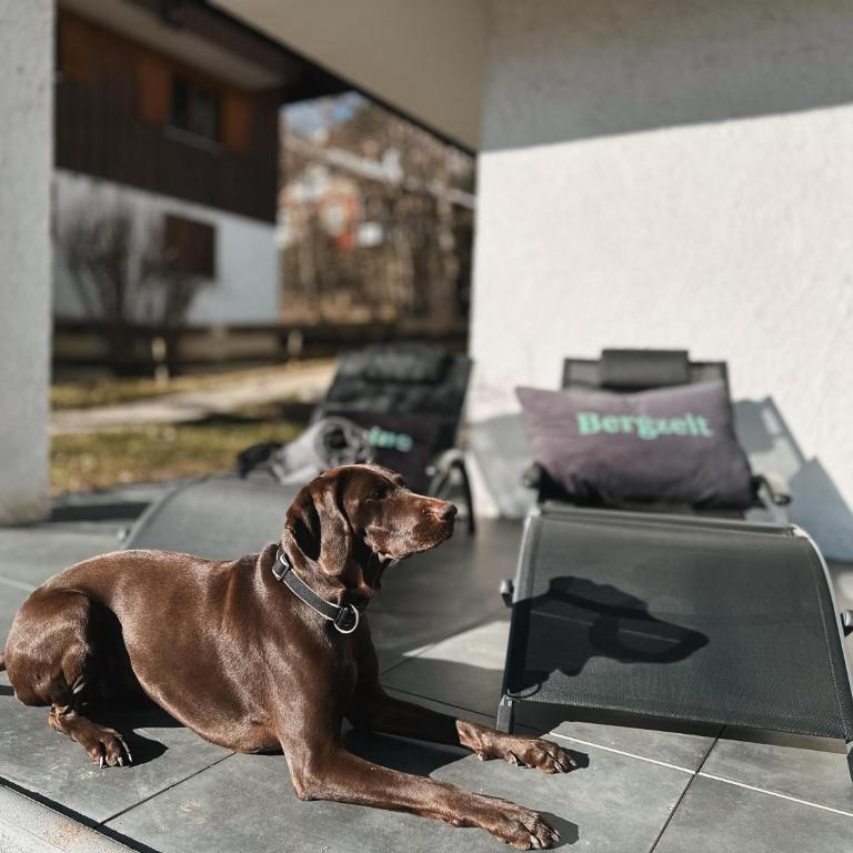 Deine Bergzeit - fewo-badhindelang - Apartment mit Bad - 30