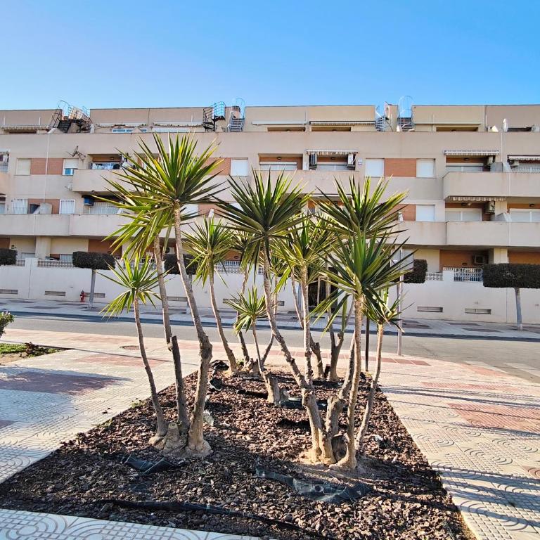 BS Apartamento Buenavista Playa estancia min 6 noches A 2 minutos de la playa - One-Bedroom Apartment - 28