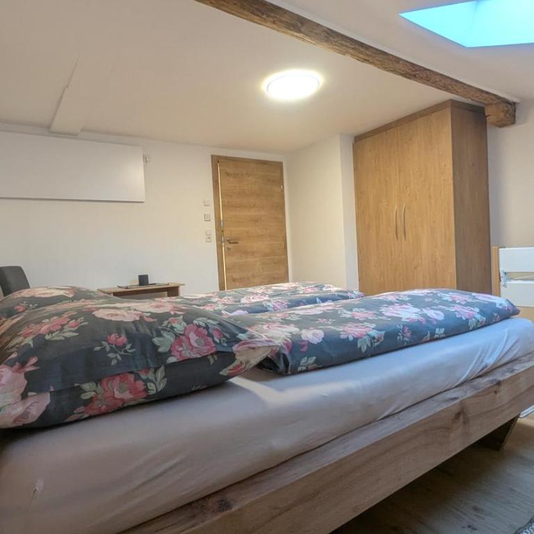 Heu und Himmel Loft - Apartamento de 2 dormitorios con vistas a la montaña - 18