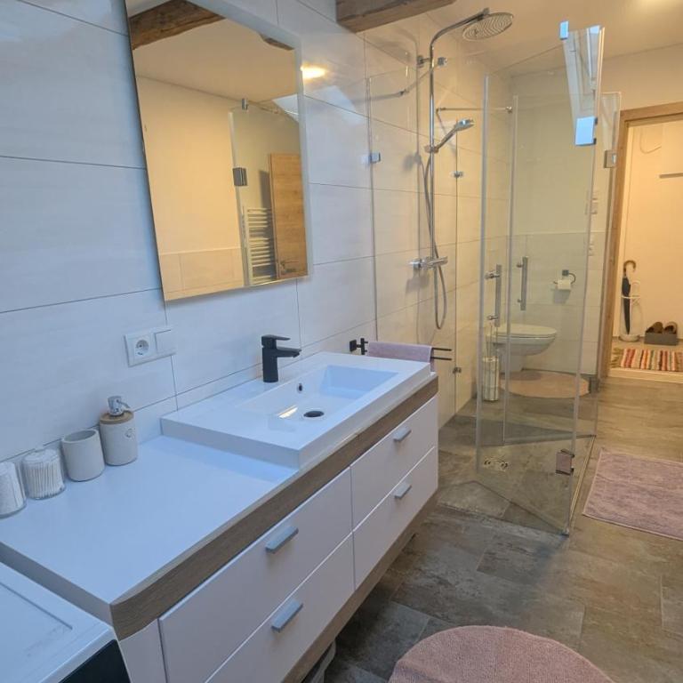 Heu und Himmel Loft - Apartamento de 2 dormitorios con vistas a la montaña - 28