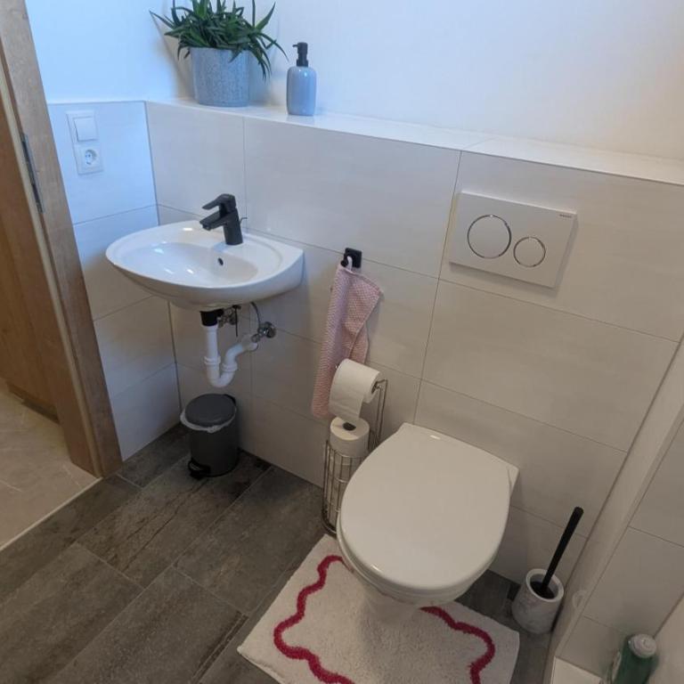 Heu und Himmel Loft - Apartamento de 2 dormitorios con vistas a la montaña - 35