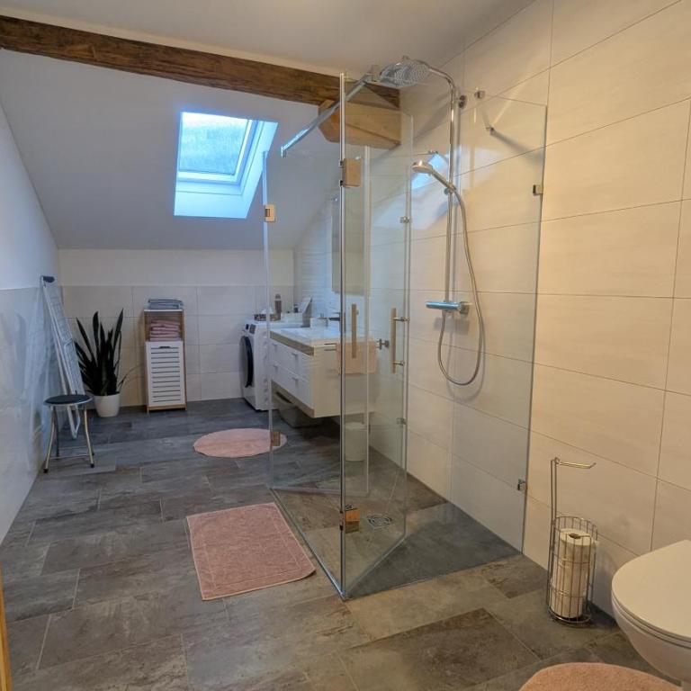 Heu und Himmel Loft - Apartamento de 2 dormitorios con vistas a la montaña - 38