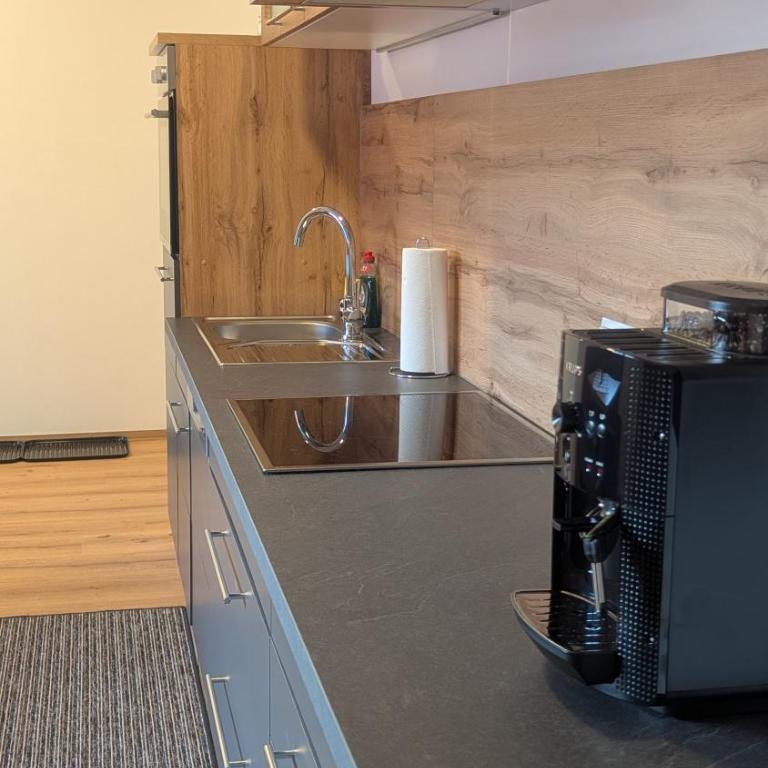 Heu und Himmel Loft - Apartamento de 2 dormitorios con vistas a la montaña - 40