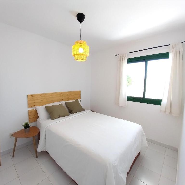 Ma Estates Balcon 4 by Sea You There Fuerteventura - Deluxe One-Bedroom Apartment with Garden View - 11