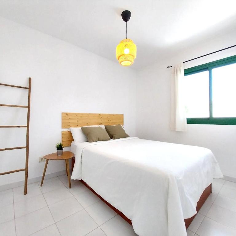 Ma Estates Balcon 4 by Sea You There Fuerteventura - Deluxe One-Bedroom Apartment with Garden View - 4
