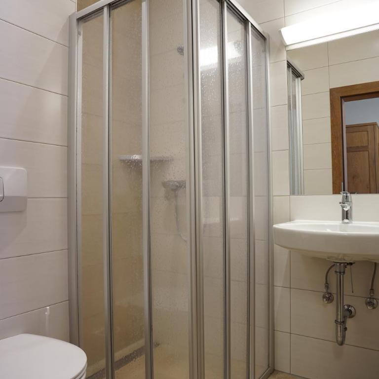 Gasthof-Fleischerei Engl - Standard Einzelzimmer - 1