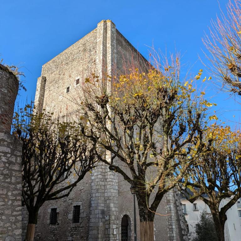 Le Donjon Beauvoir - gîte insolite au cœur de Blois - Two-Bedroom Apartment - 11