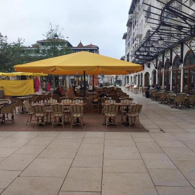 Le Bassin à vos pieds avec T2 Élégant entre Plage et Hyper Centre - Apartment mit 1 Schlafzimmer - 24