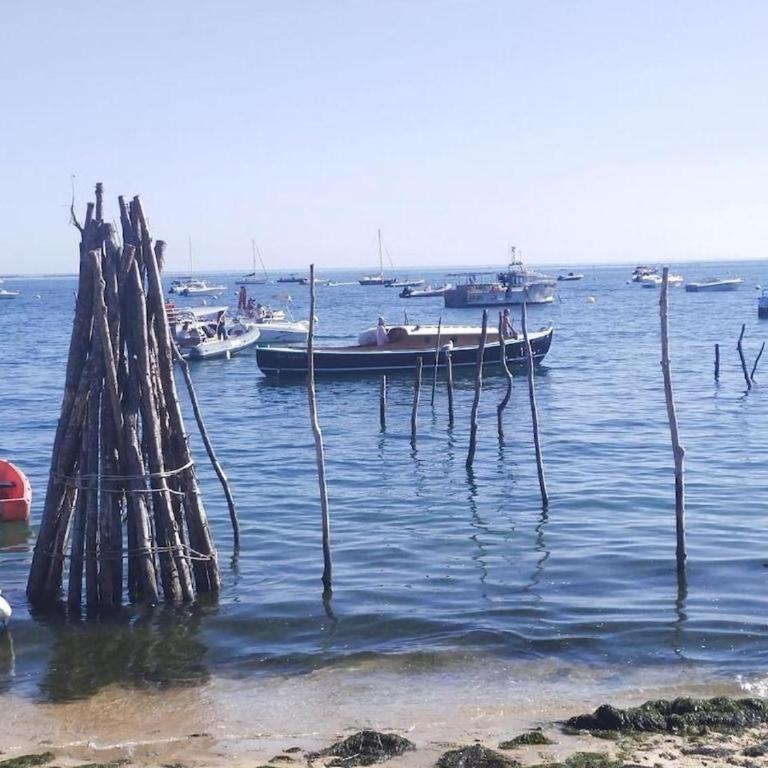 Le Bassin à vos pieds avec T2 Élégant entre Plage et Hyper Centre - Apartment mit 1 Schlafzimmer - 25
