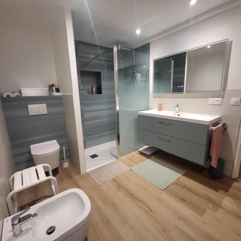 CAPBRETON. Villa ALAMEAT avec 3 chambres .Climatisation. Wifi gratuit. - Maison 3 Chambres - 12