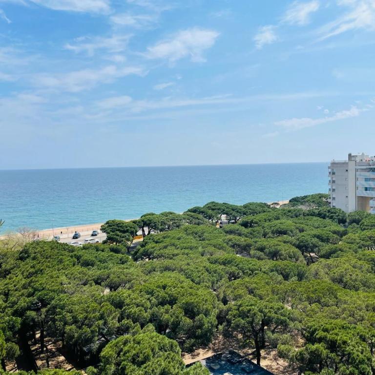 Apartamento playa - Apartamento de 2 dormitorios - 55