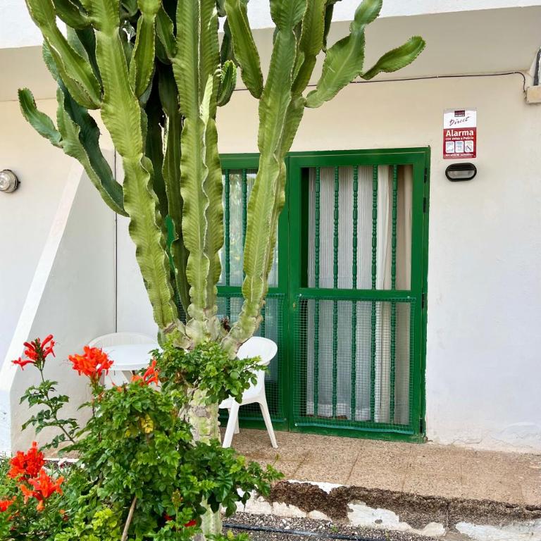 Casita Alma Zen - Apartamento de 1 dormitorio - 27