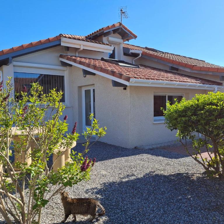 Villa patio à 200 m de la plage à Capbreton - Maison 3 Chambres - 1