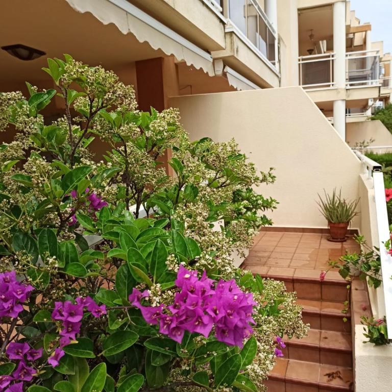 Agradable apartamento en Las Marinas Denia - Apartamento de 2 dormitorios - 2