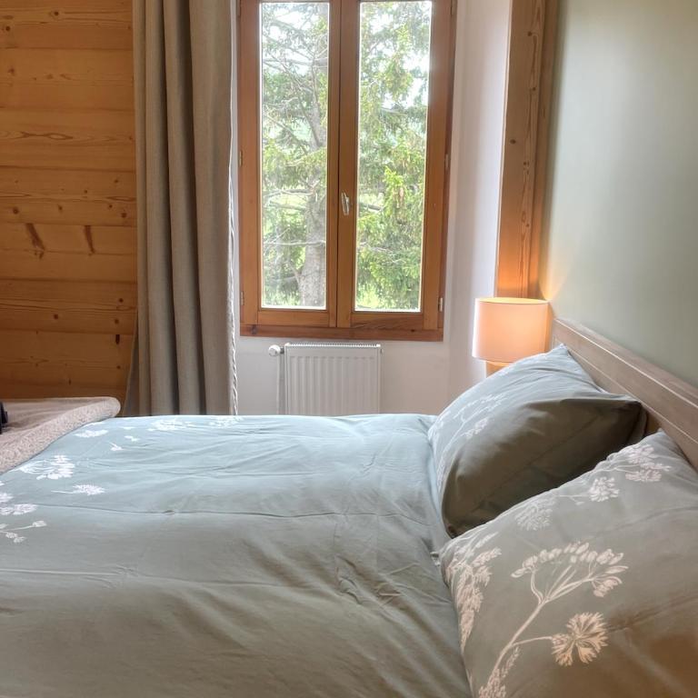 Heart of La Grave La Meije - Appartement 2 Chambres - 8