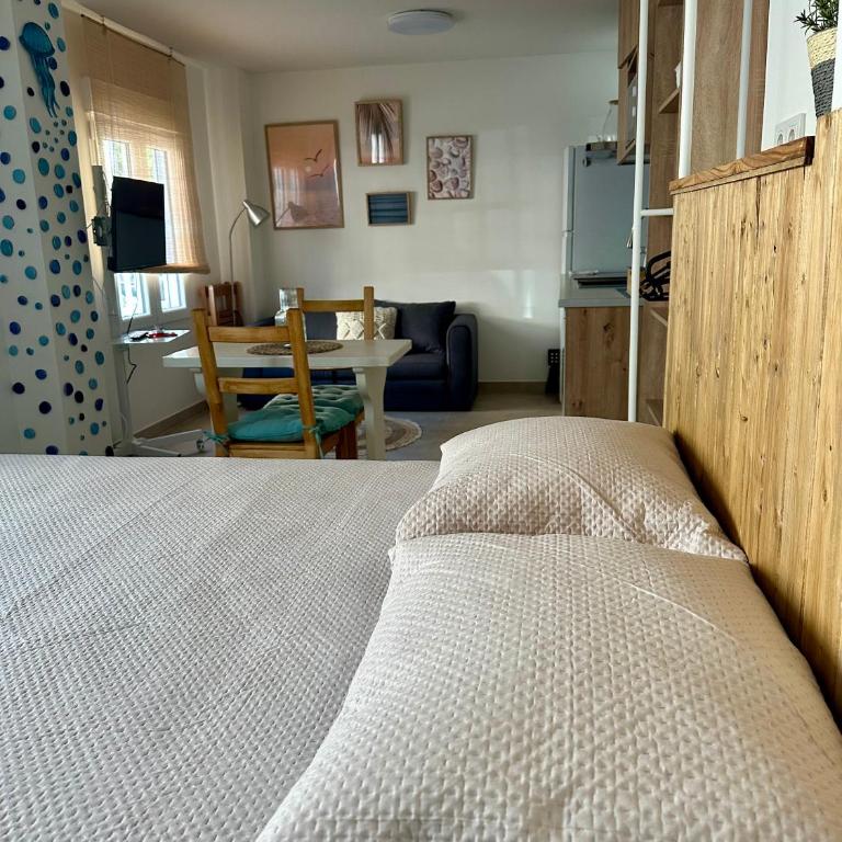 La medusa flamenca - Apartamento de 1 dormitorio - 2