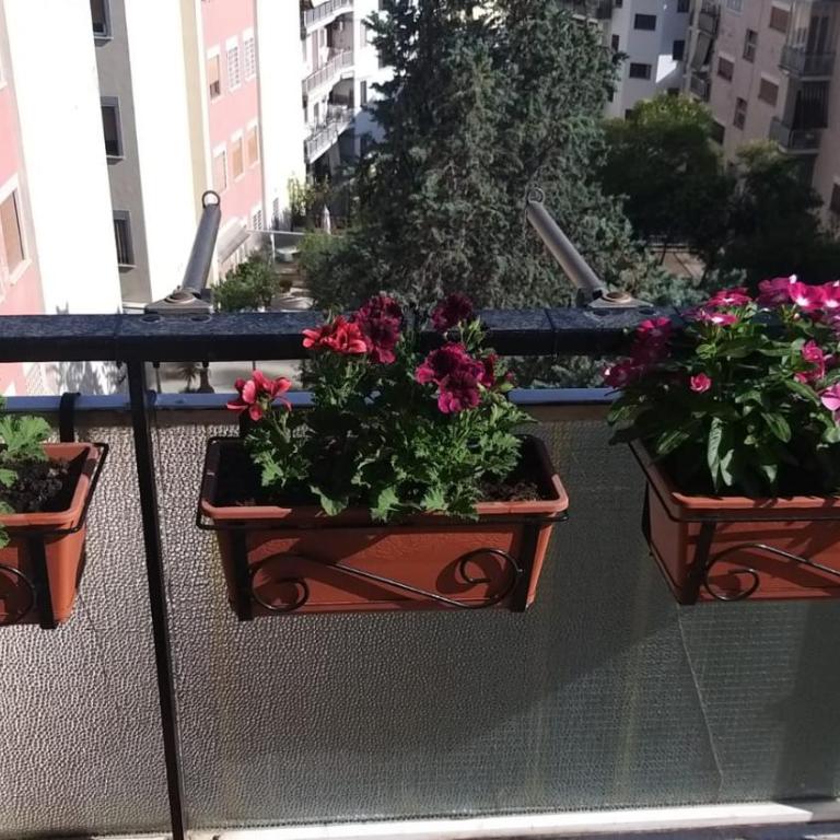La Casa Dei Nonni al Vaticano - Appartamento con 2 Camere da Letto - 3