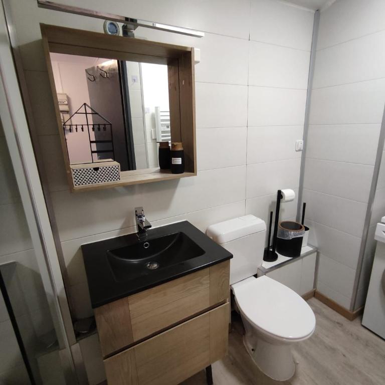 ThiLuCha Le ThiLu ALPE D'HUEZ gd domaine à Allemont - Appartement 1 Chambre - 10