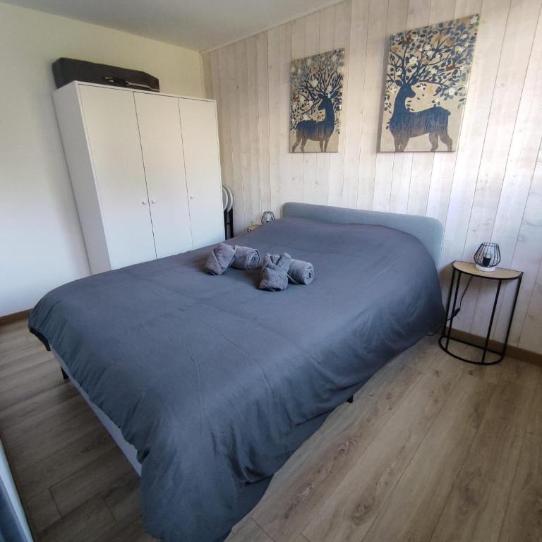 ThiLuCha Le ThiLu ALPE D'HUEZ gd domaine à Allemont - Appartement 1 Chambre - 16