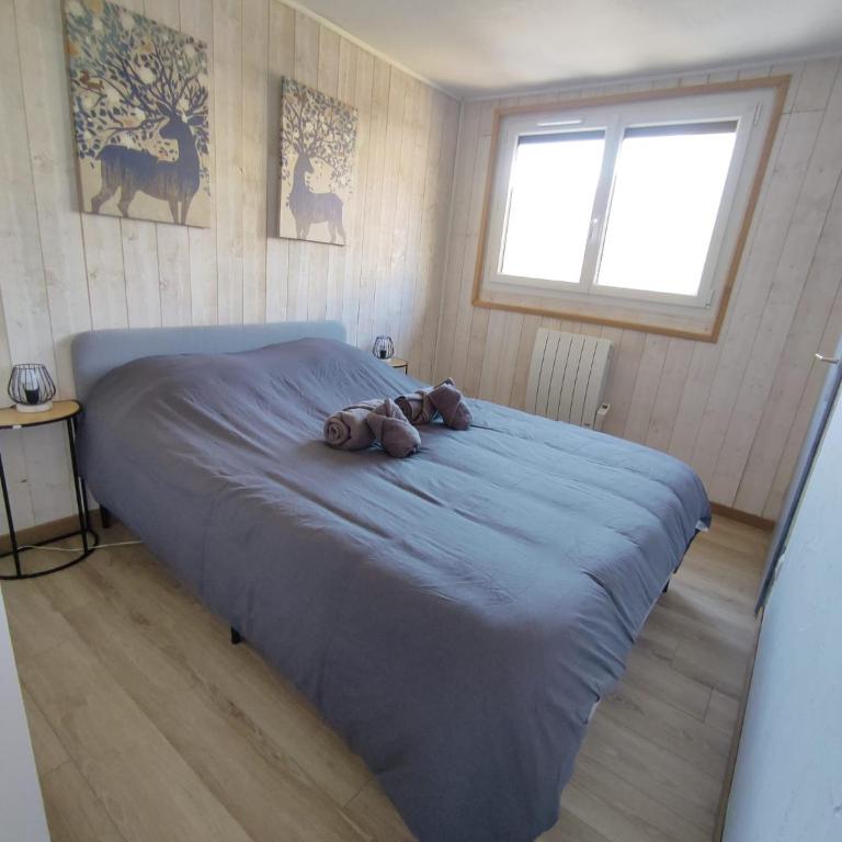 ThiLuCha Le ThiLu ALPE D'HUEZ gd domaine à Allemont - Appartement 1 Chambre - 8