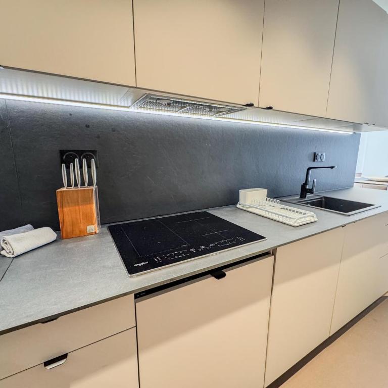 GRAY DUBOY D'ANGERS Luxury 3 bedrooms Croisette - Apartment - 40