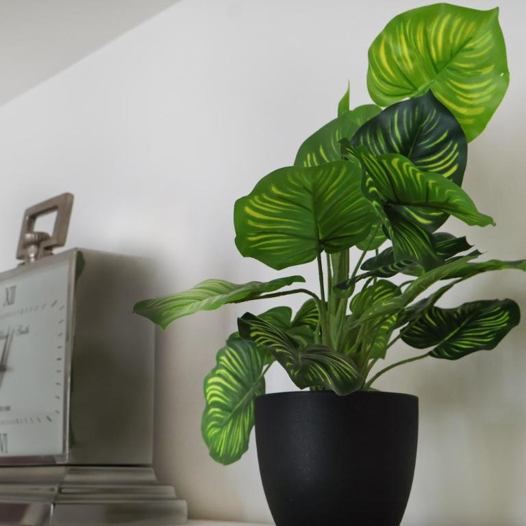 Disneyland-Paris 7pers, Parking, Wifi, AC - Apartment mit 2 Schlafzimmern - 18