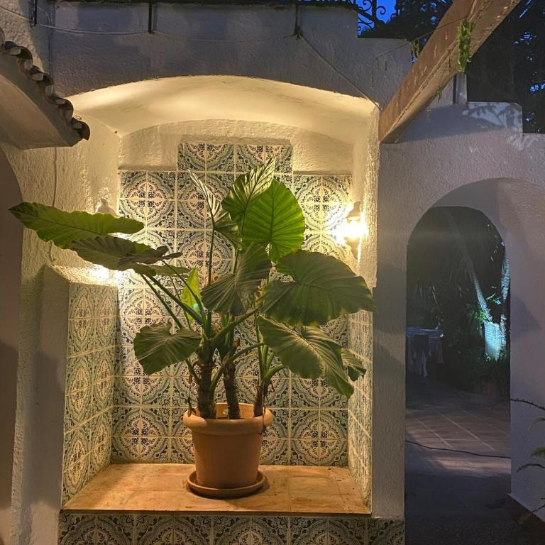 Marbella Las Golondrinas by Sol Maestranza - Apartamento de 2 dormitorios - 28