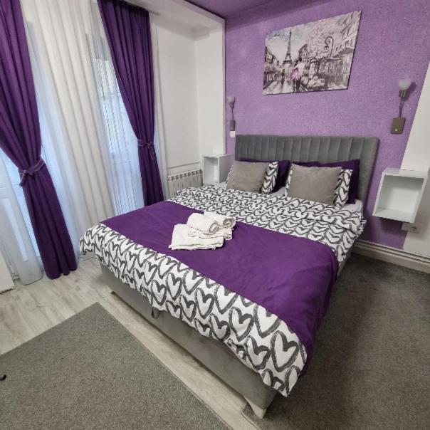 Studio Sestica vila Lenka2 - One-Bedroom Apartment - 1