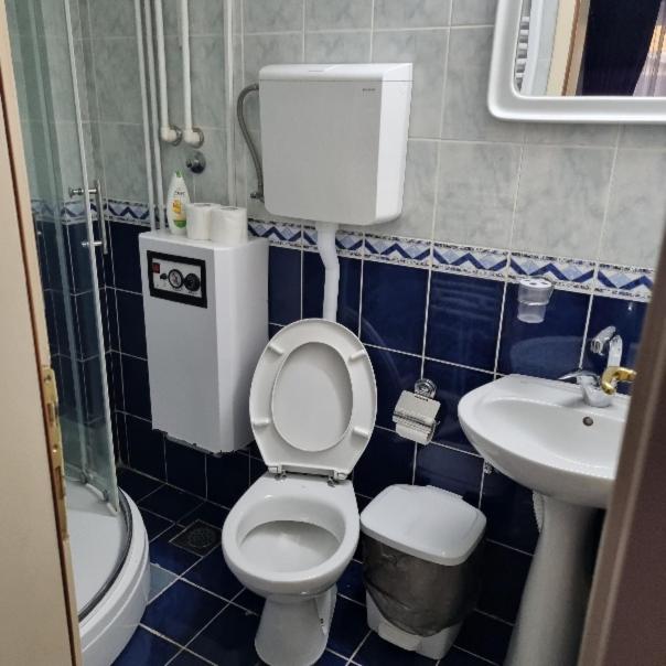 Studio Sestica vila Lenka2 - One-Bedroom Apartment - 5