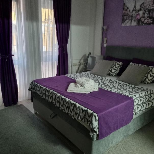 Studio Sestica vila Lenka2 - One-Bedroom Apartment - 6