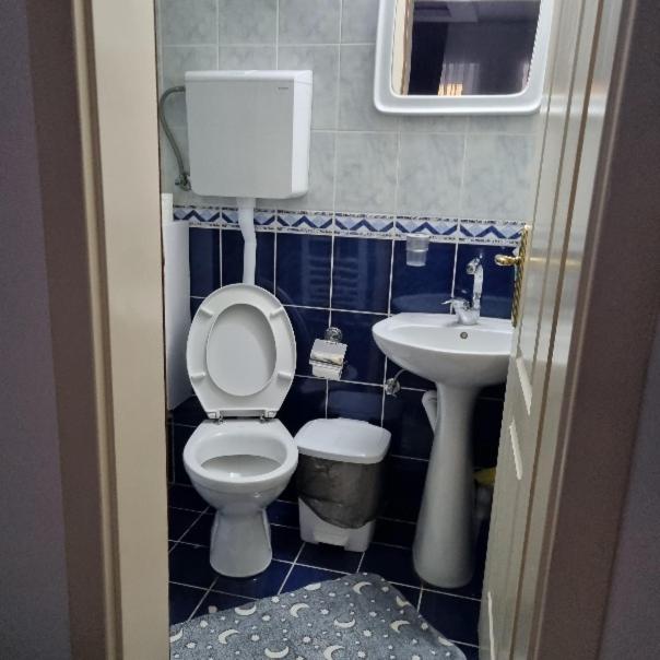 Studio Sestica vila Lenka2 - One-Bedroom Apartment - 7