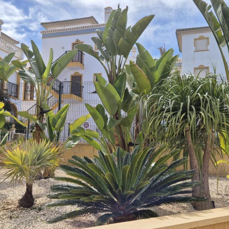 Beautiful apartment - 2 seperate bedrooms La Mata - Apartamento de 2 dormitorios - 20