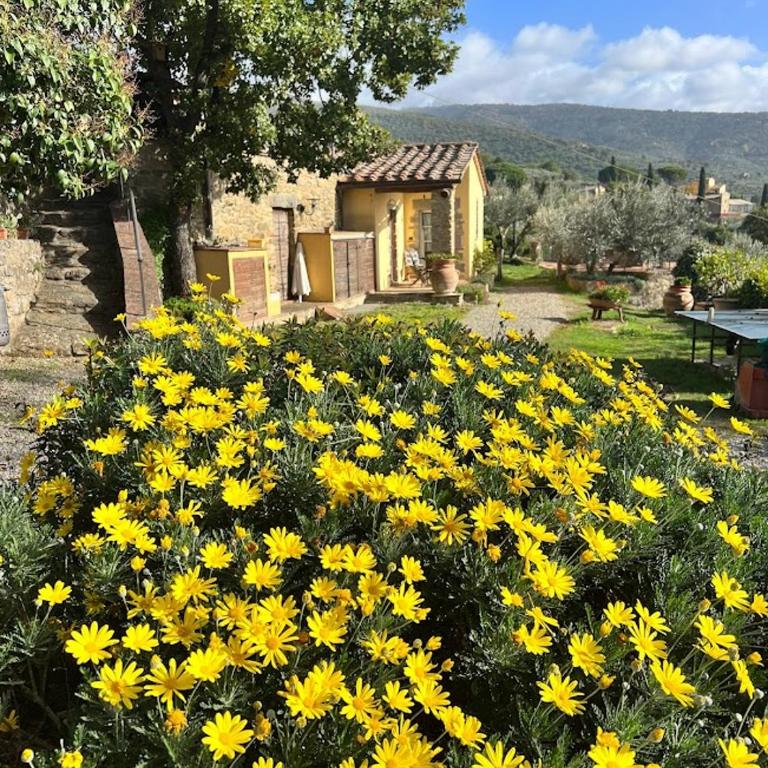 Margherita Holiday Home - Appartamento con 1 Camera da Letto - 28