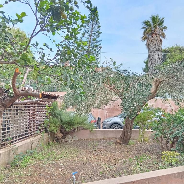 Appartamento Giardino Vista Asinara - Appartamento con 2 Camere da Letto - 23
