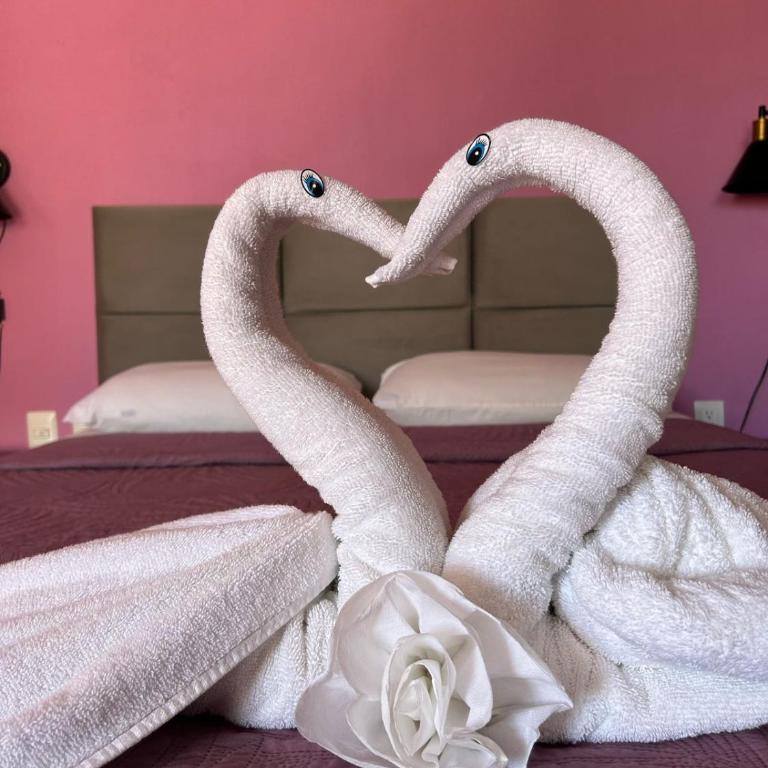 Hotel Marcianito - Standard Queen Room - 8