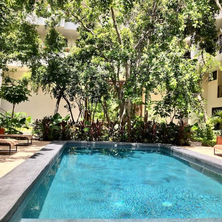 Near beach Ximbal Tulum 6 guest Pool Gym Wi-Fi - Apartment - 50