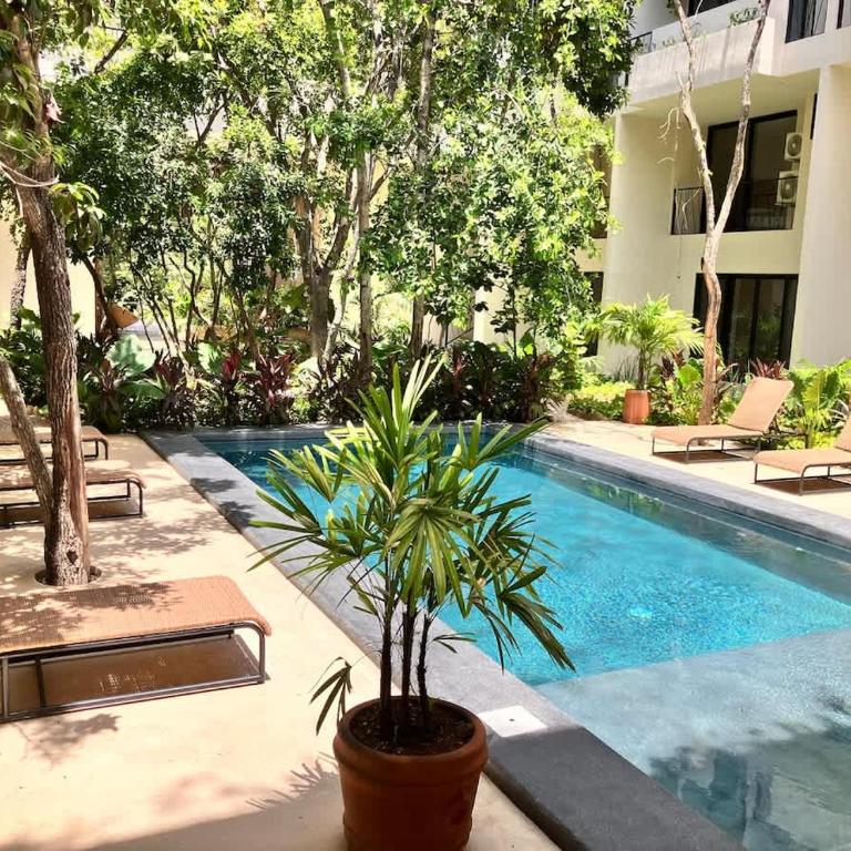 Near beach Ximbal Tulum 6 guest Pool Gym Wi-Fi - Apartment - 53